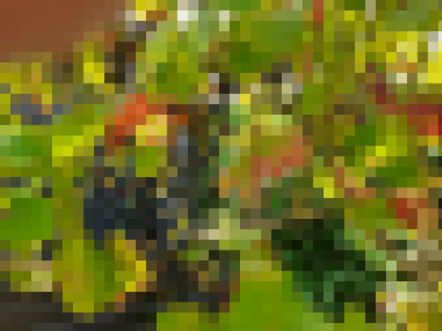 Kastanjehof 34 Winschoten thumbnail 53