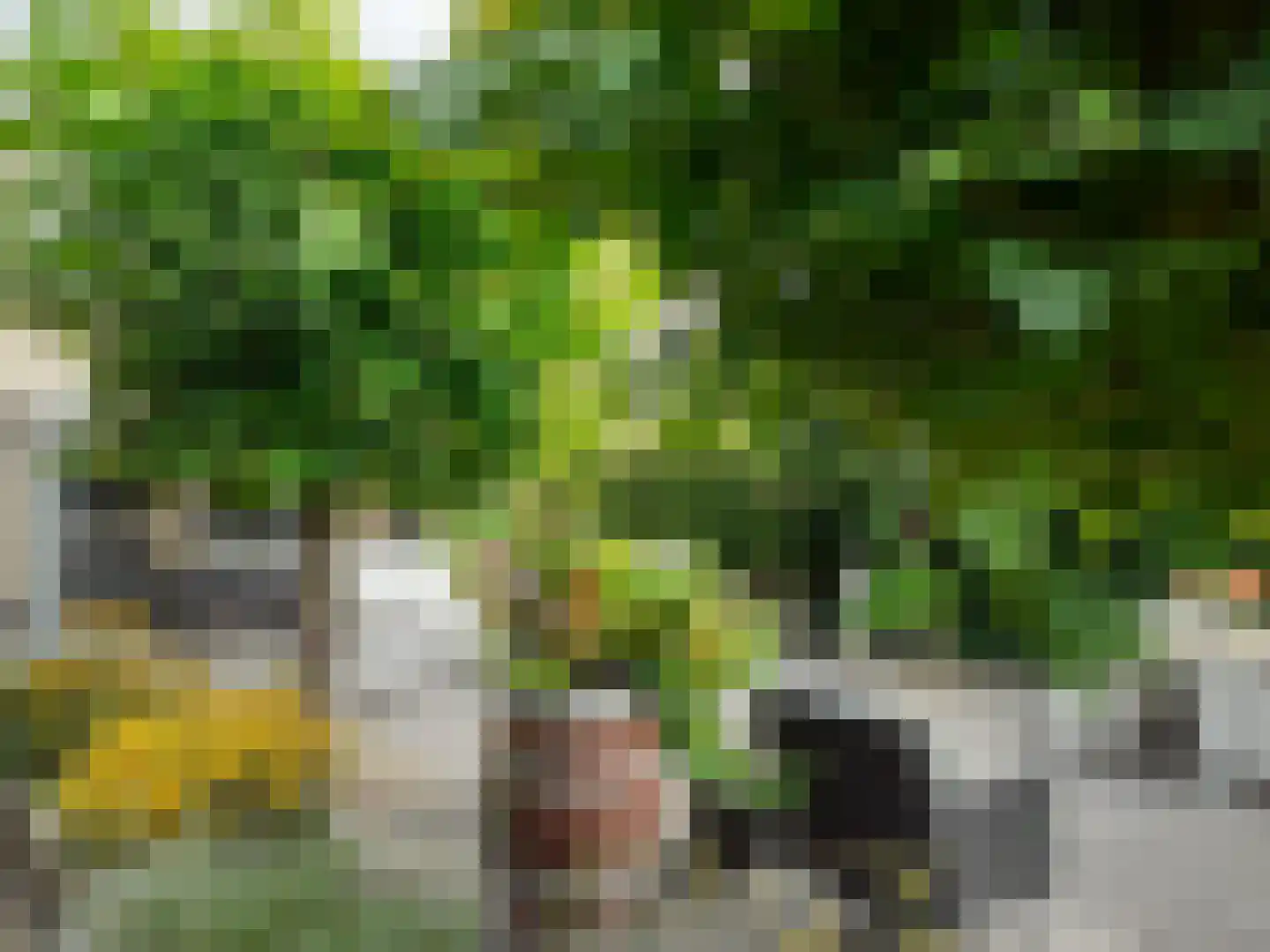 Kastanjehof 34 Winschoten thumbnail 54