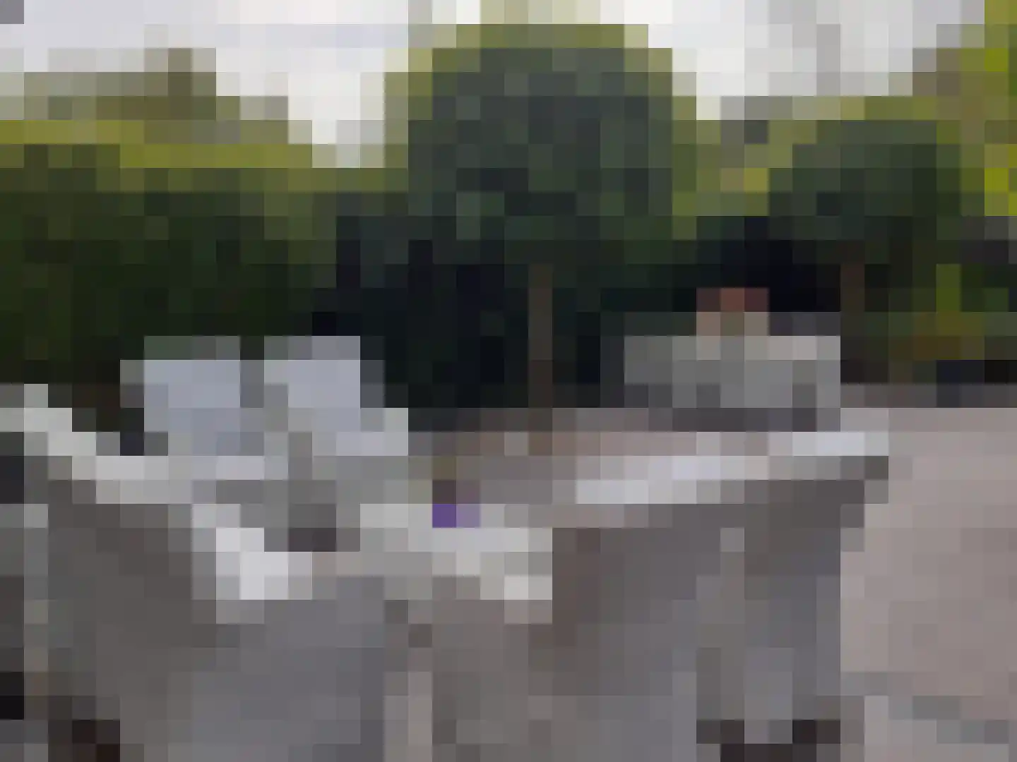 Kastanjehof 34 Winschoten thumbnail 55