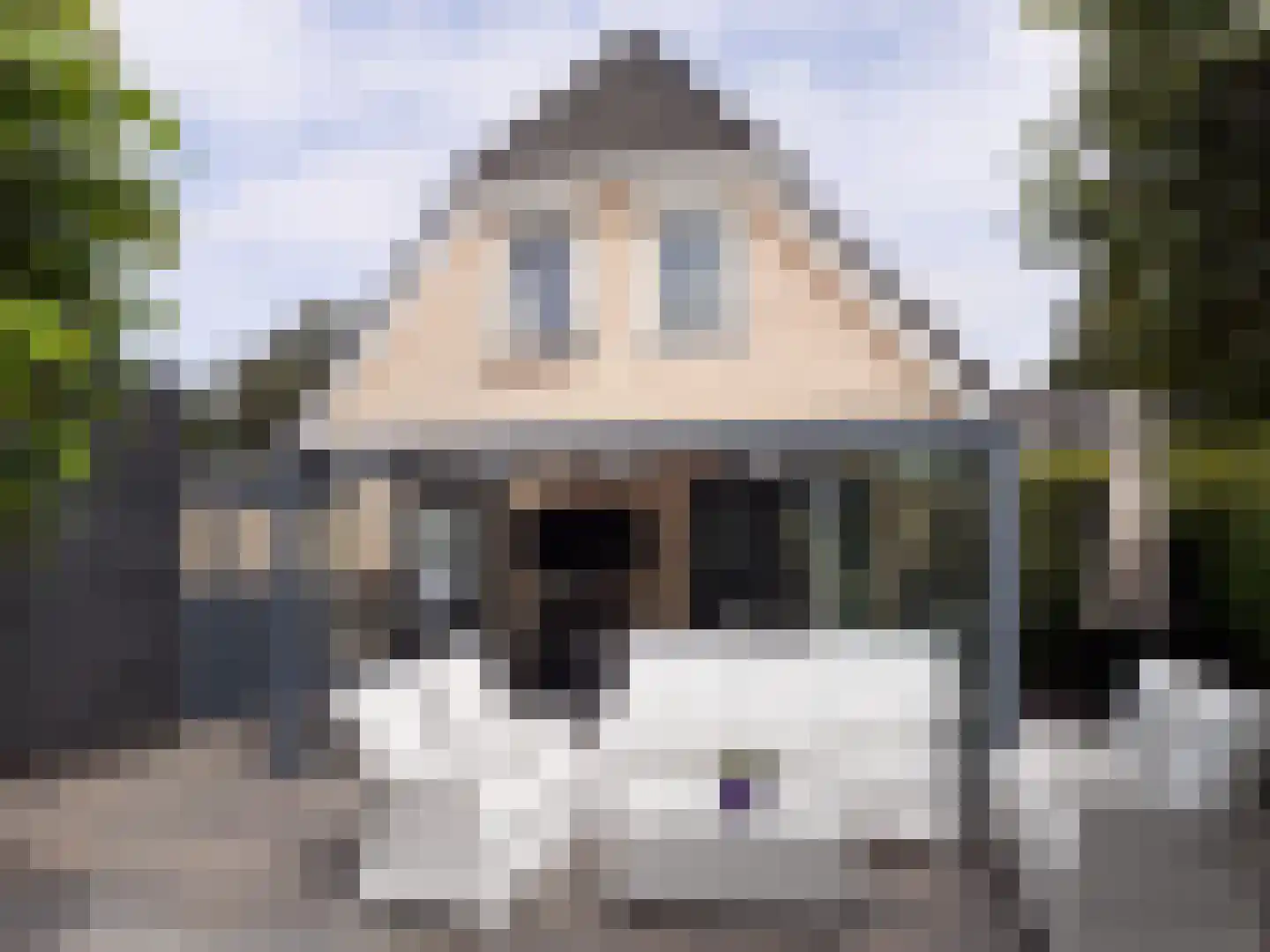 Kastanjehof 34 Winschoten thumbnail 57