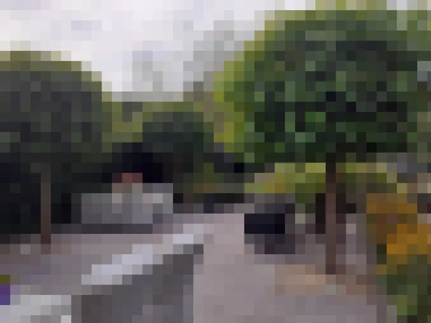 Kastanjehof 34 Winschoten thumbnail 59