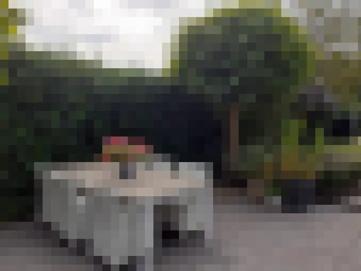 Kastanjehof 34 Winschoten thumbnail 60