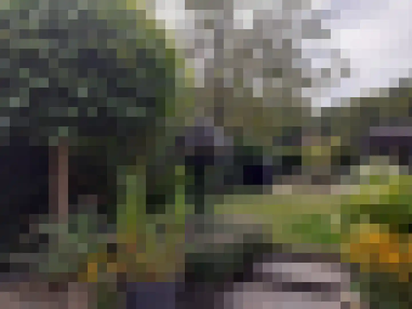Kastanjehof 34 Winschoten thumbnail 61
