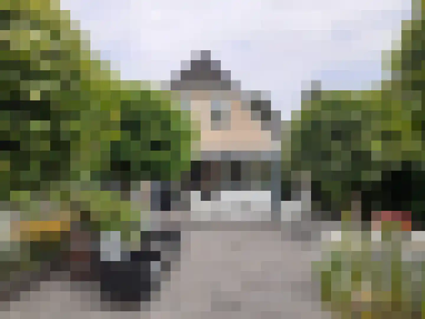 Kastanjehof 34 Winschoten thumbnail 67