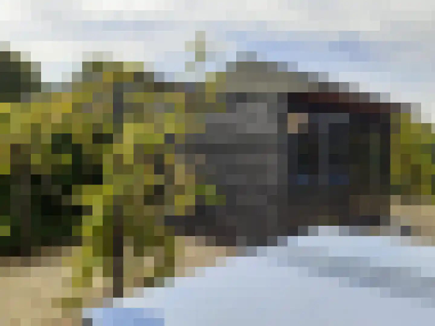 Kastanjehof 34 Winschoten thumbnail 69