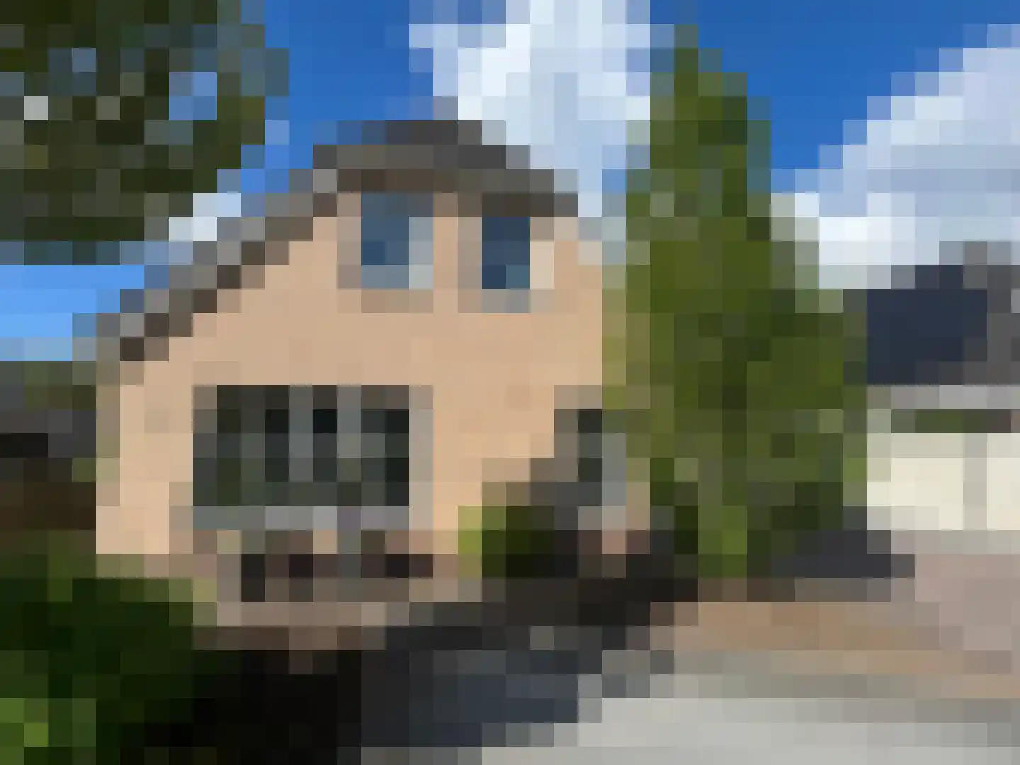 Kastanjehof 34 Winschoten thumbnail 7