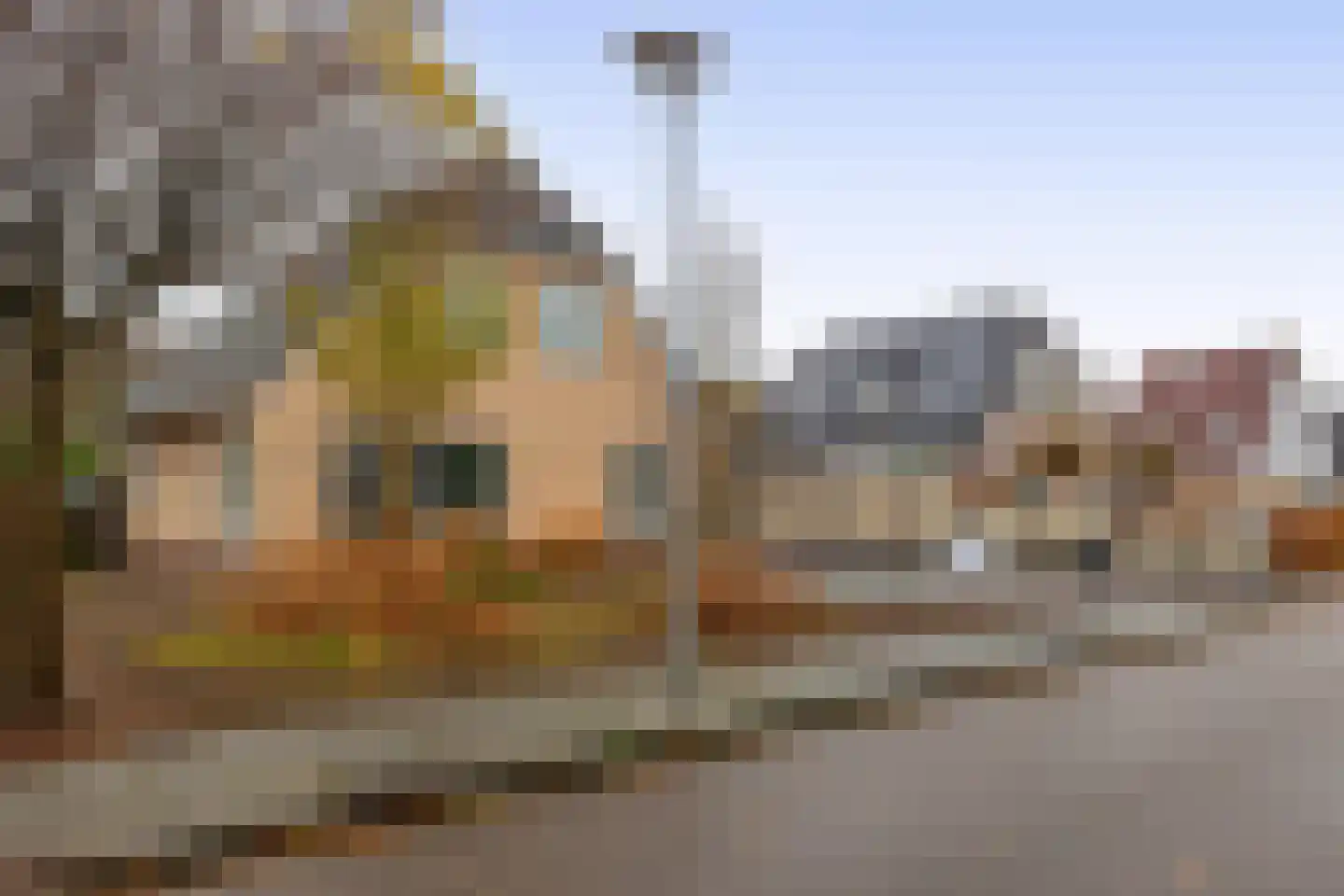 Kastanjehof 34 Winschoten thumbnail 71