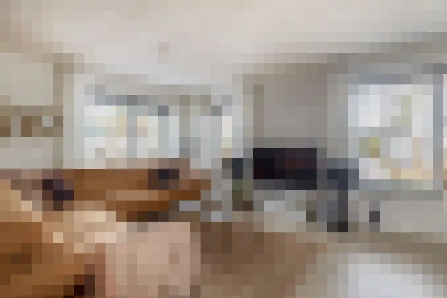Kastanjehof 34 Winschoten thumbnail 9