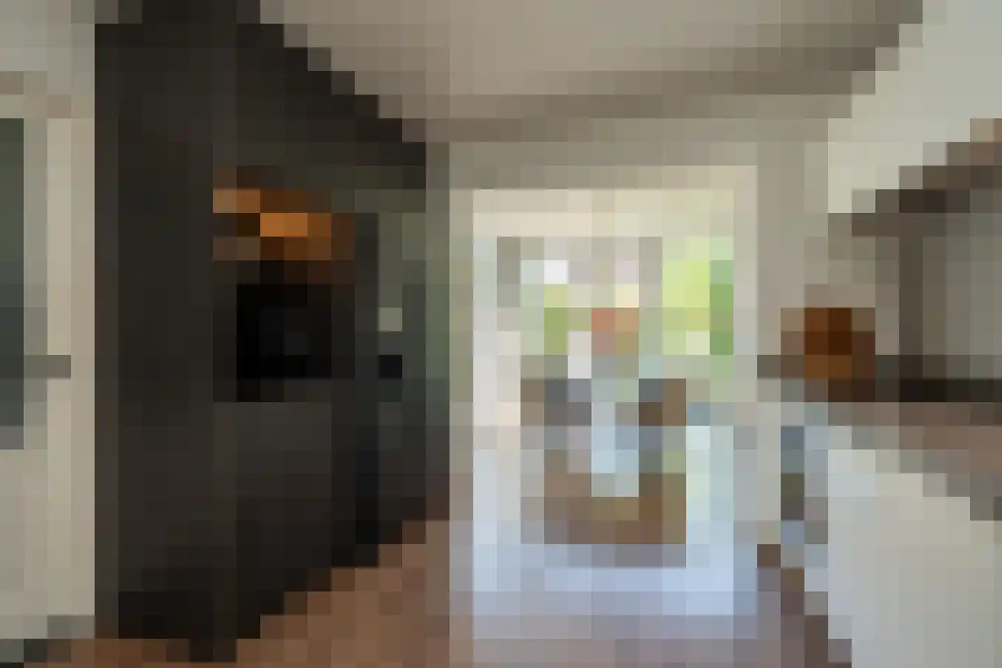 Kastanjehof 35 Winschoten thumbnail 13