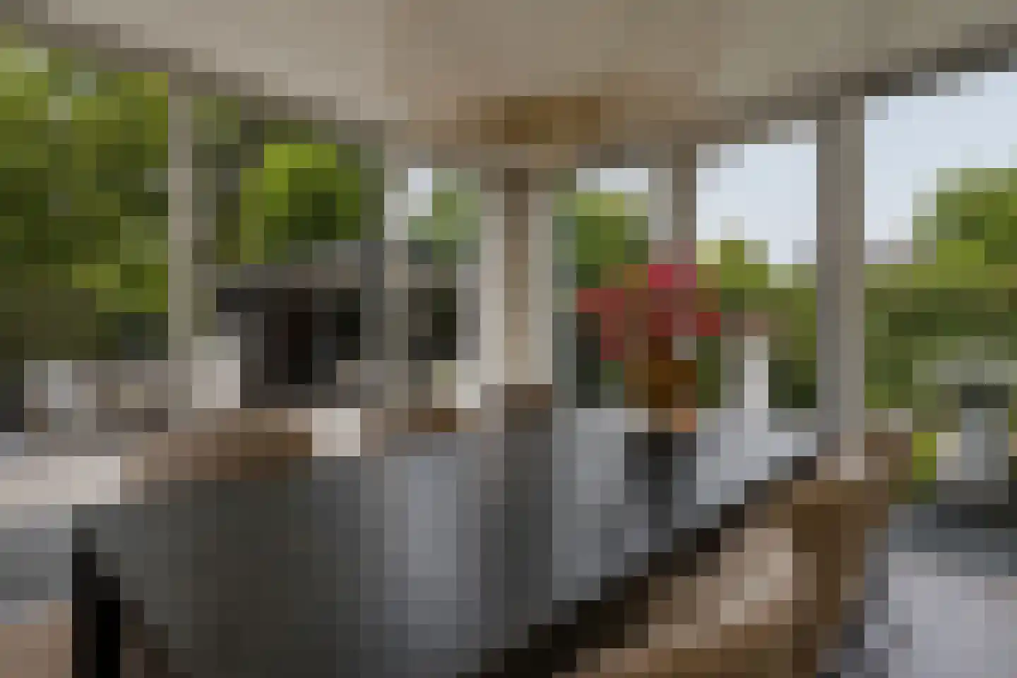 Kastanjehof 35 Winschoten thumbnail 14