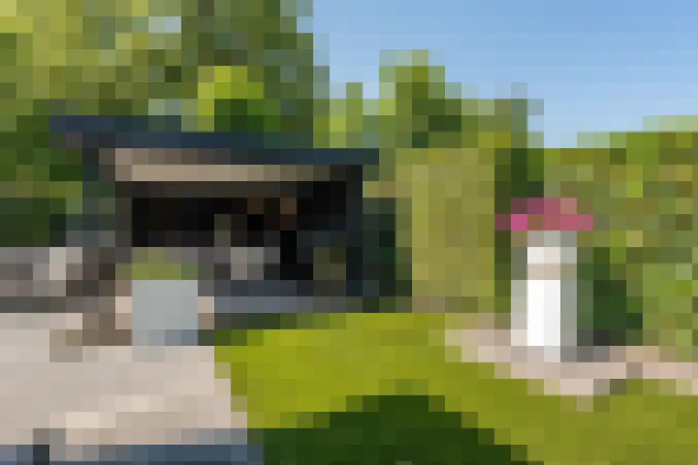 Kastanjehof 35 Winschoten thumbnail 37