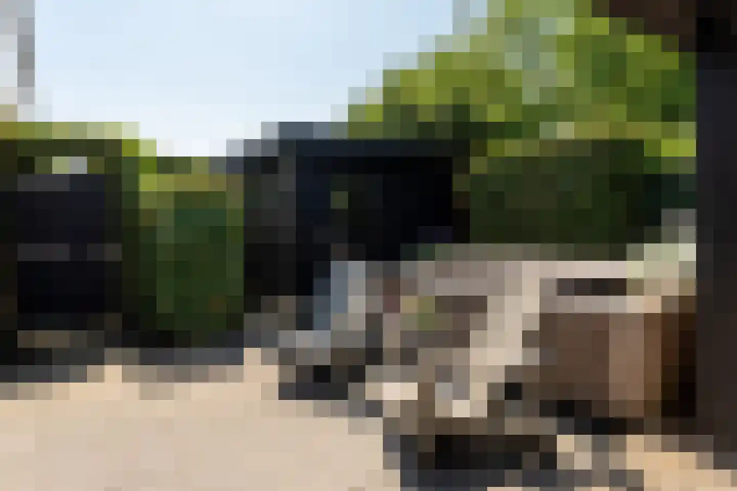 Kastanjehof 35 Winschoten thumbnail 40