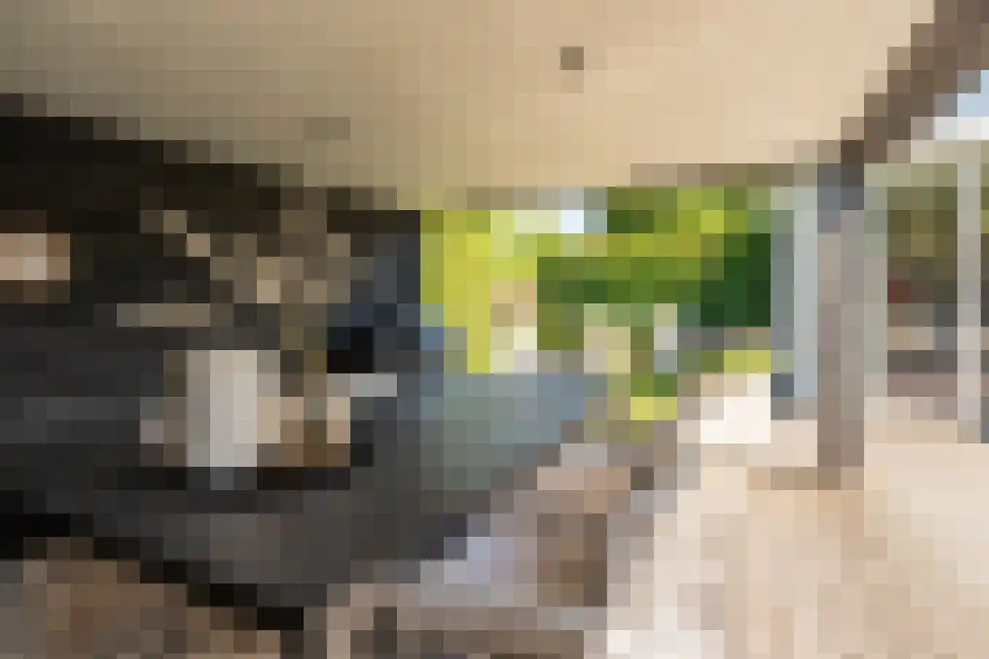 Kastanjehof 35 Winschoten thumbnail 42