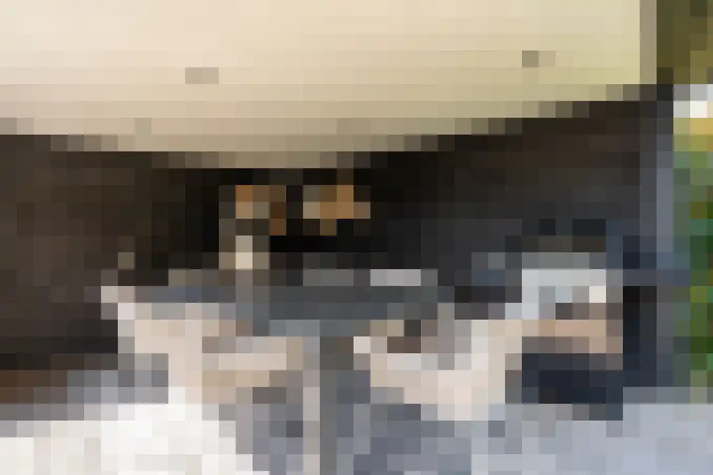 Kastanjehof 35 Winschoten thumbnail 43