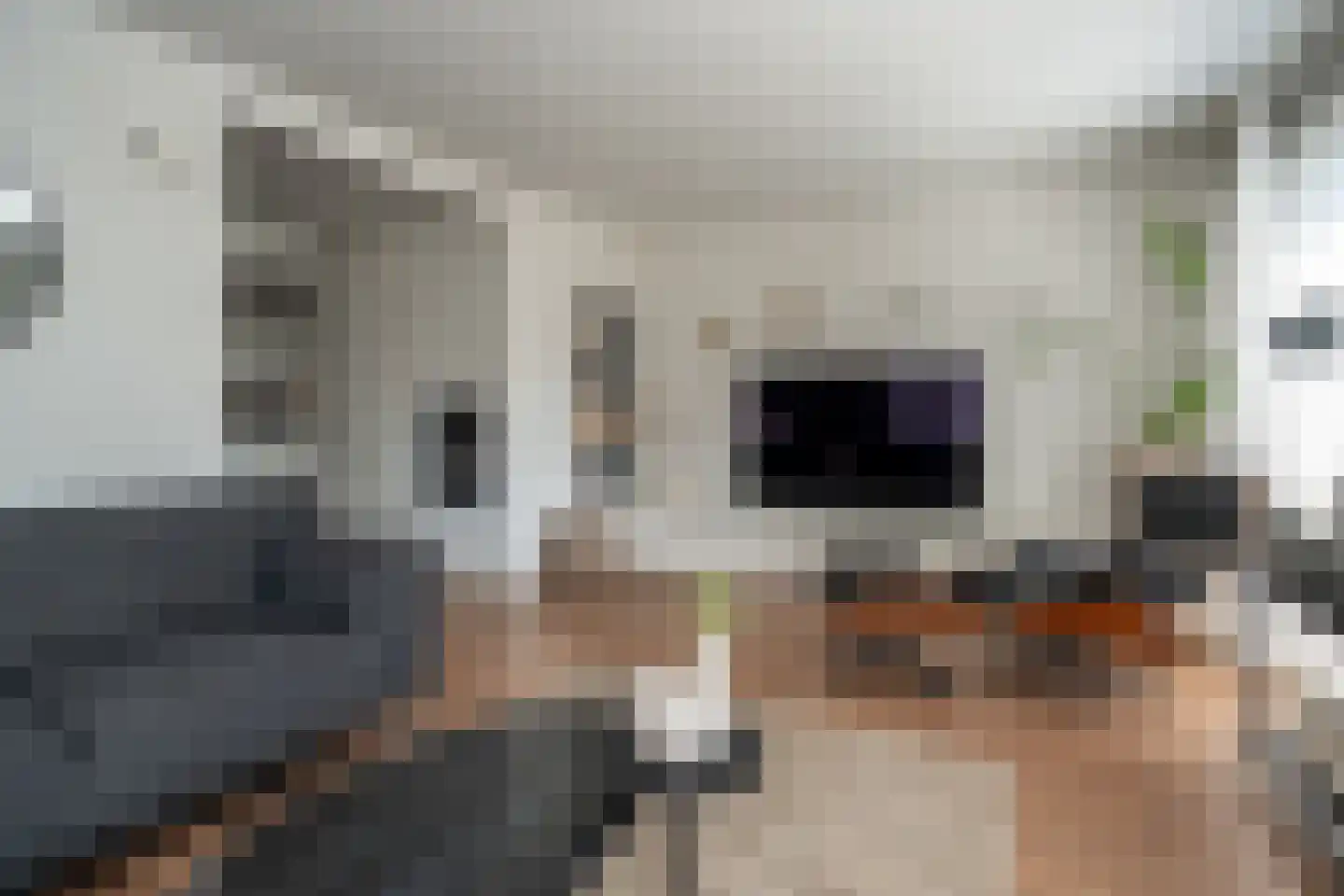 Kastanjehof 35 Winschoten thumbnail 7