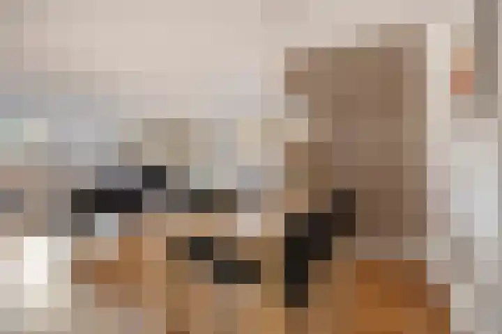 Kastanjehof 5 Velp thumbnail 12