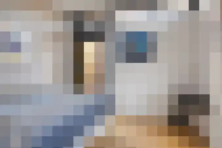 Kastanjehof 5 Velp thumbnail 33