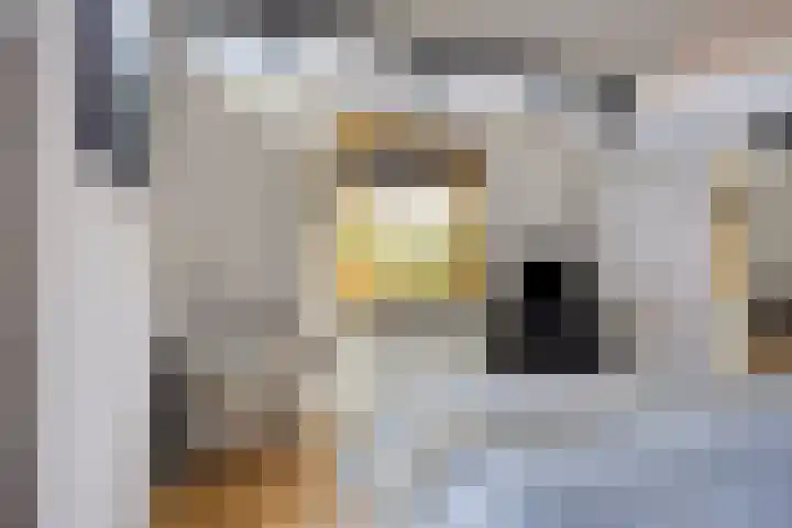 Kastanjehof 5 Velp thumbnail 34