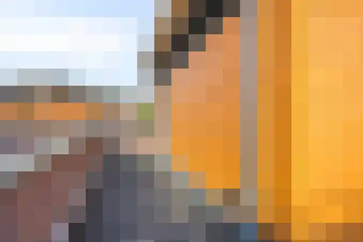 Kastanjehof 5 Velp thumbnail 43