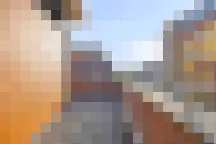 Kastanjehof 5 Velp thumbnail 44