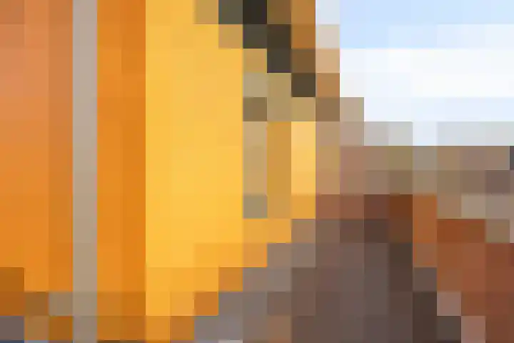 Kastanjehof 5 Velp thumbnail 45