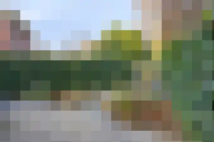 Kastanjehof 5 Velp thumbnail 46