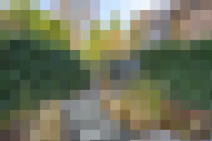 Kastanjehof 5 Velp thumbnail 49