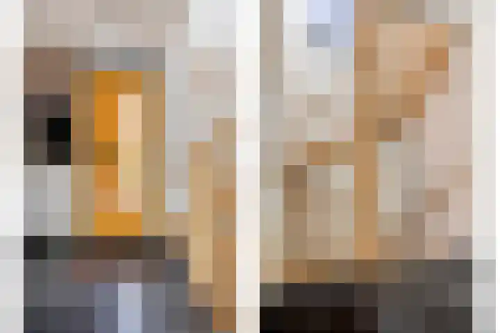 Kastanjehof 5 Velp thumbnail 6