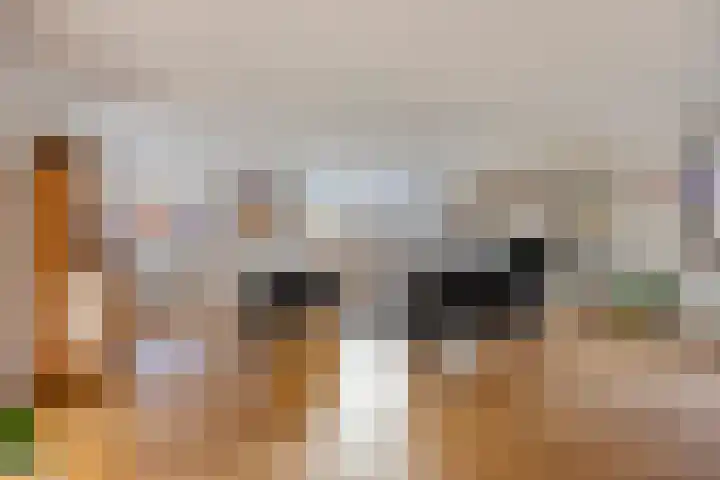 Kastanjehof 5 Velp thumbnail 8