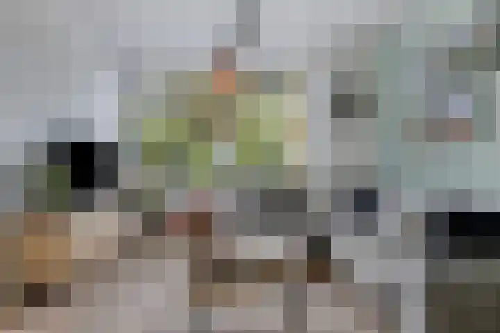 Kastanjehof 7 Maasbree thumbnail 11