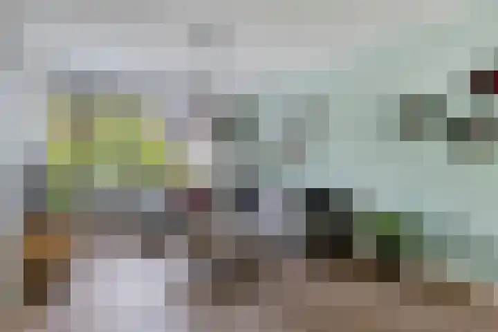 Kastanjehof 7 Maasbree foto 2
