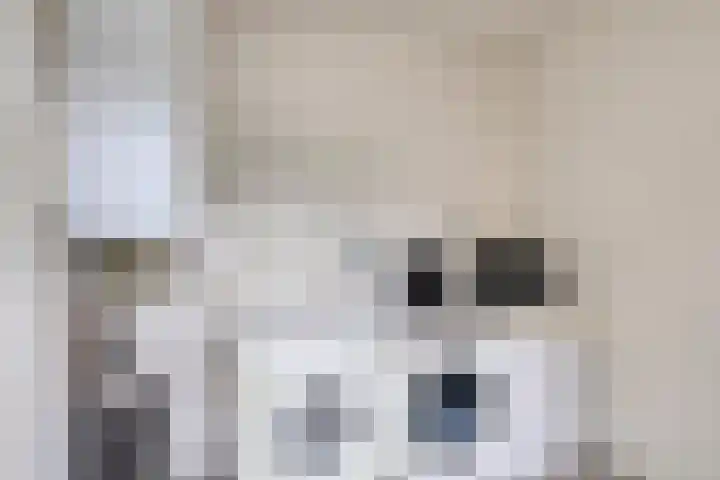 Kastanjehof 7 Maasbree thumbnail 21