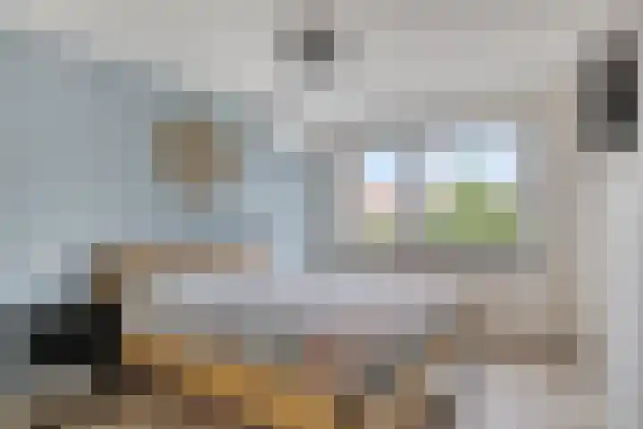 Kastanjehof 7 Maasbree thumbnail 24