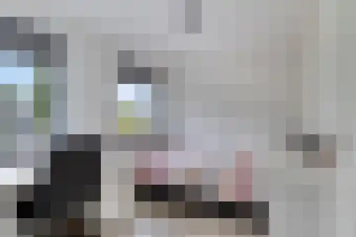 Kastanjehof 7 Maasbree thumbnail 29