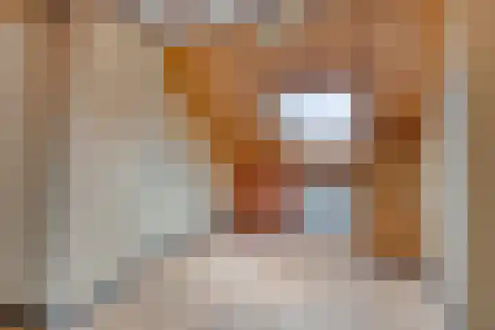 Kastanjehof 7 Maasbree thumbnail 32