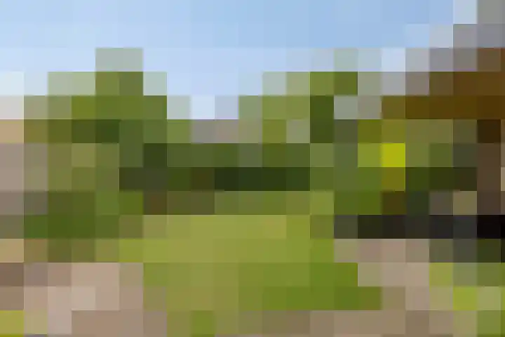 Kastanjehof 7 Maasbree thumbnail 34