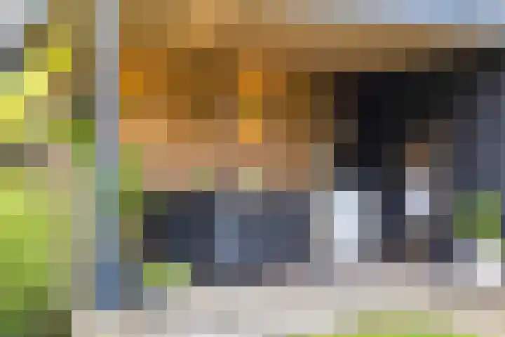Kastanjehof 7 Maasbree thumbnail 35