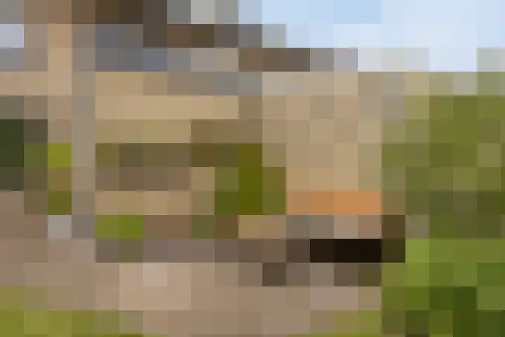 Kastanjehof 7 Maasbree thumbnail 36