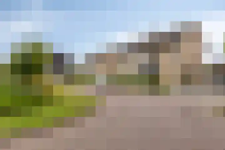 Kastanjehof 7 Maasbree thumbnail 40