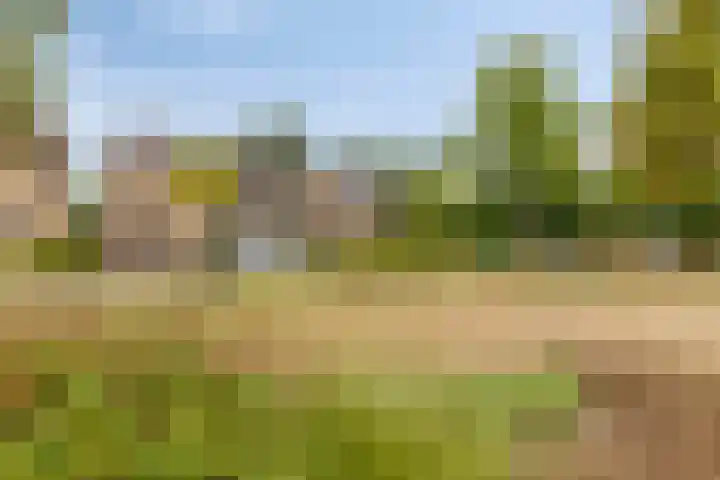 Kastanjehof 7 Maasbree thumbnail 43