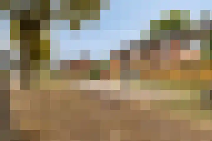 Kastanjehof 7 Maasbree thumbnail 44
