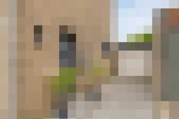 Kastanjehof 7 Maasbree thumbnail 5