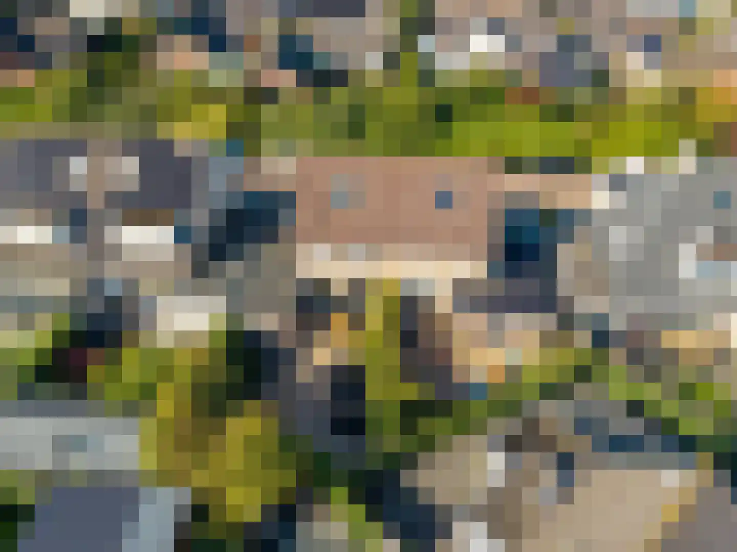 Kastanjehof 7 Meerkerk thumbnail 13
