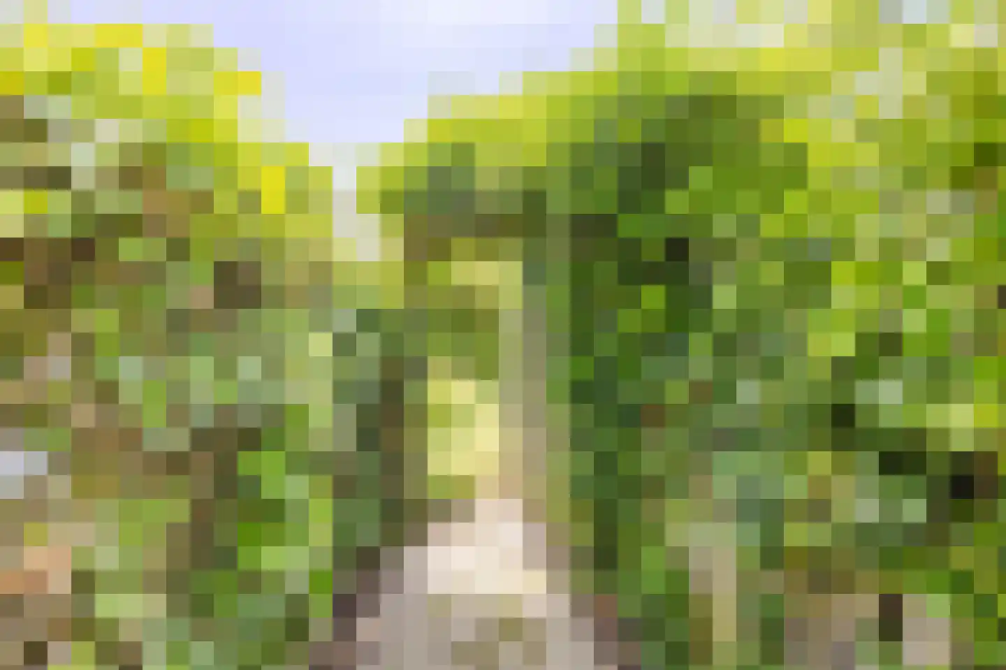 Kastanjehof 7 Meerkerk thumbnail 31