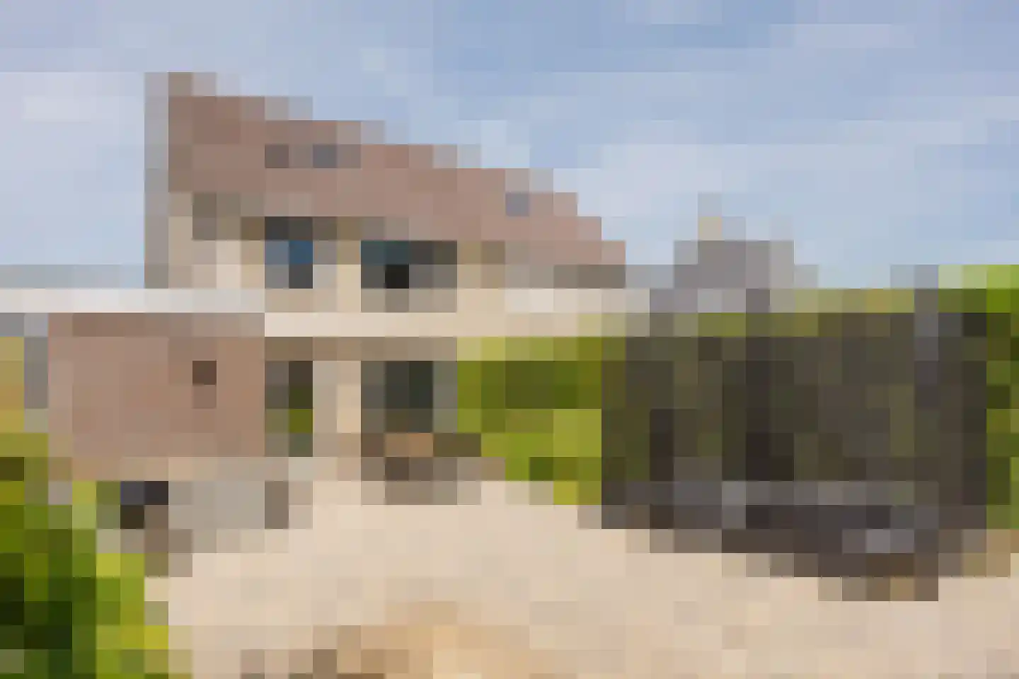 Kastanjehof 7 Meerkerk thumbnail 5