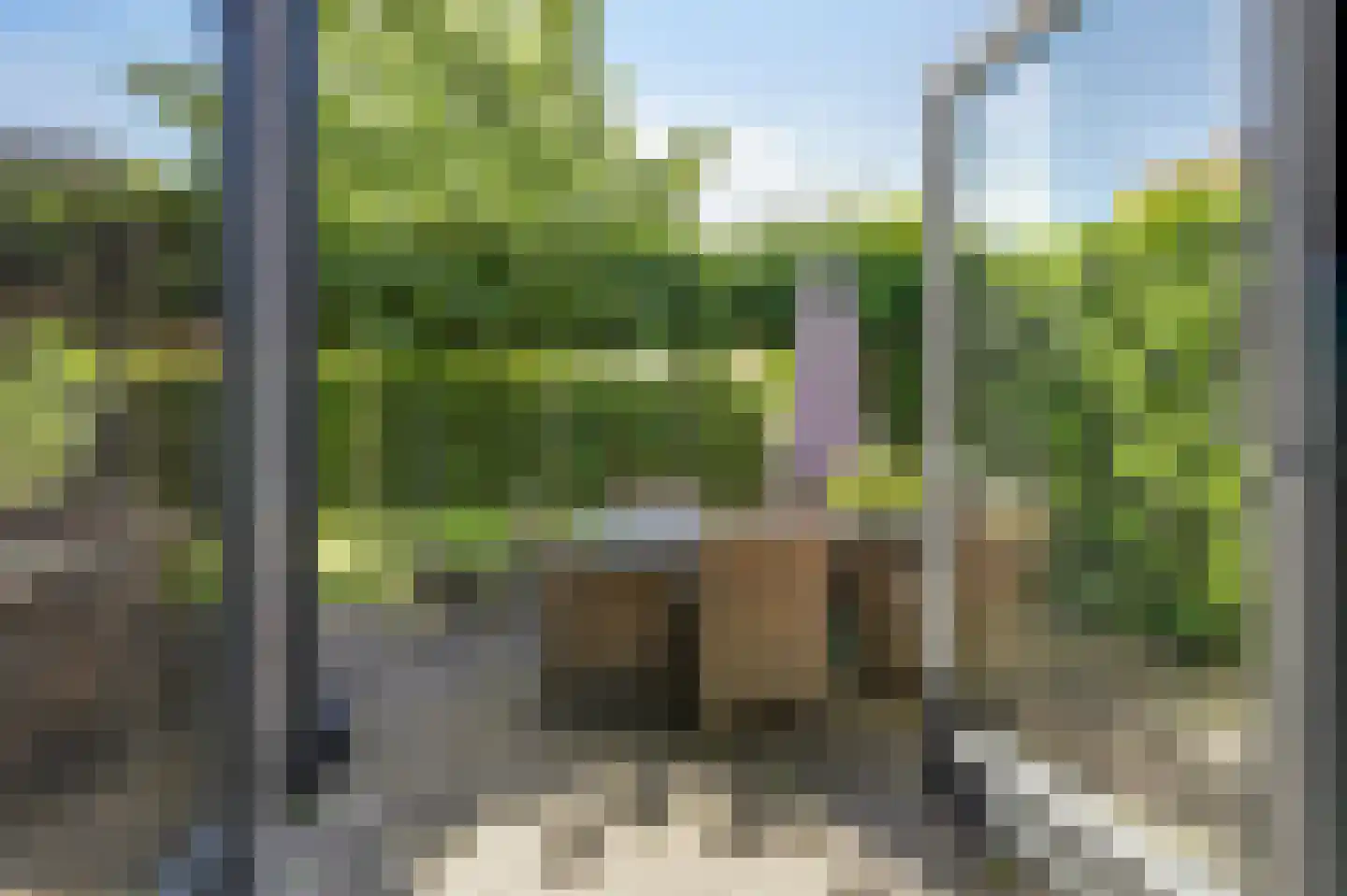 Kastanjehof 7 Velp thumbnail 18