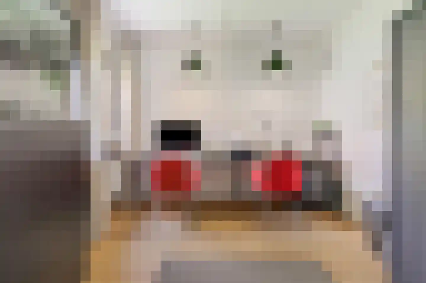 Kastanjehof 7 Velp thumbnail 26