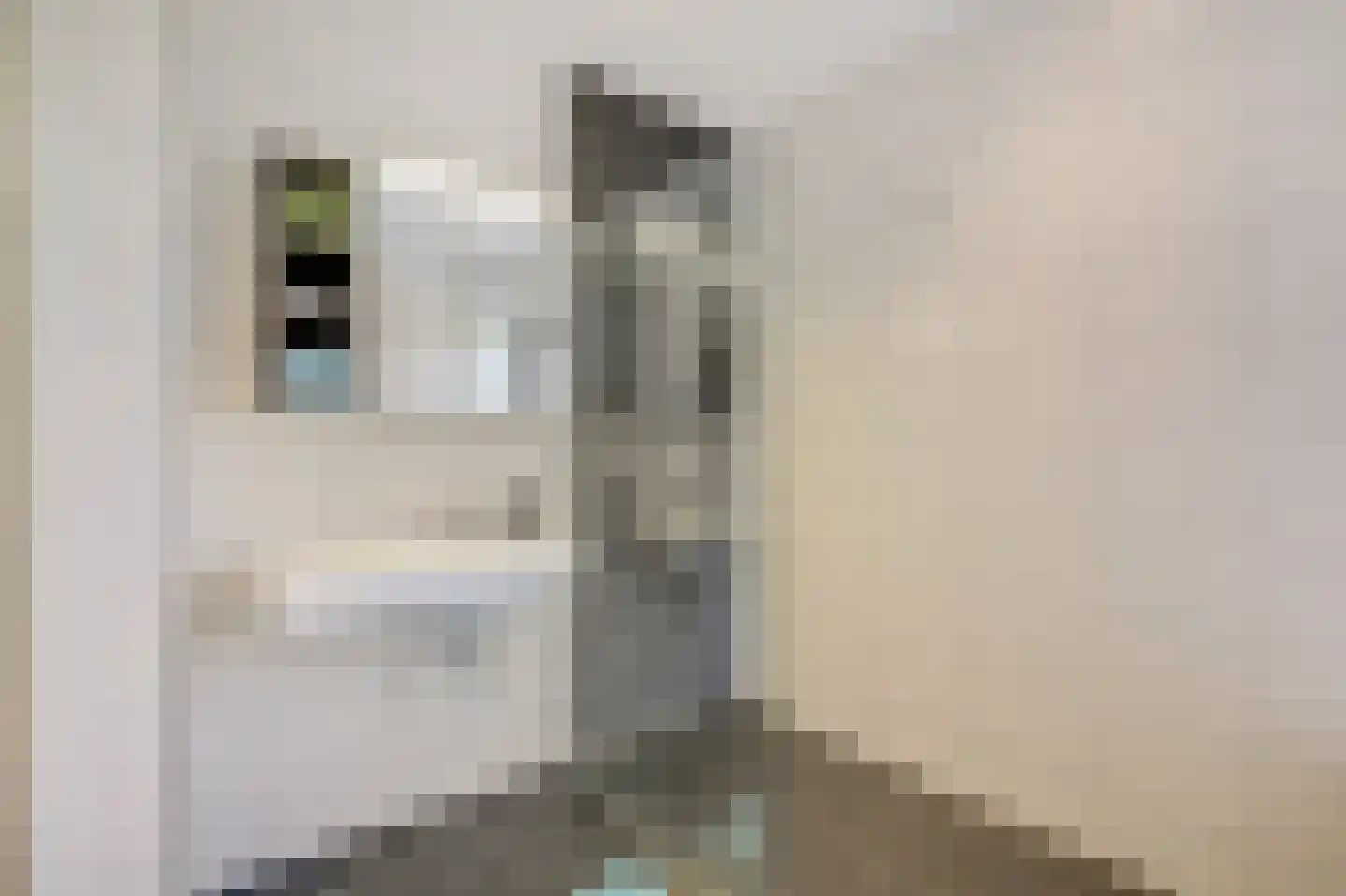 Kastanjehof 7 Velp thumbnail 30