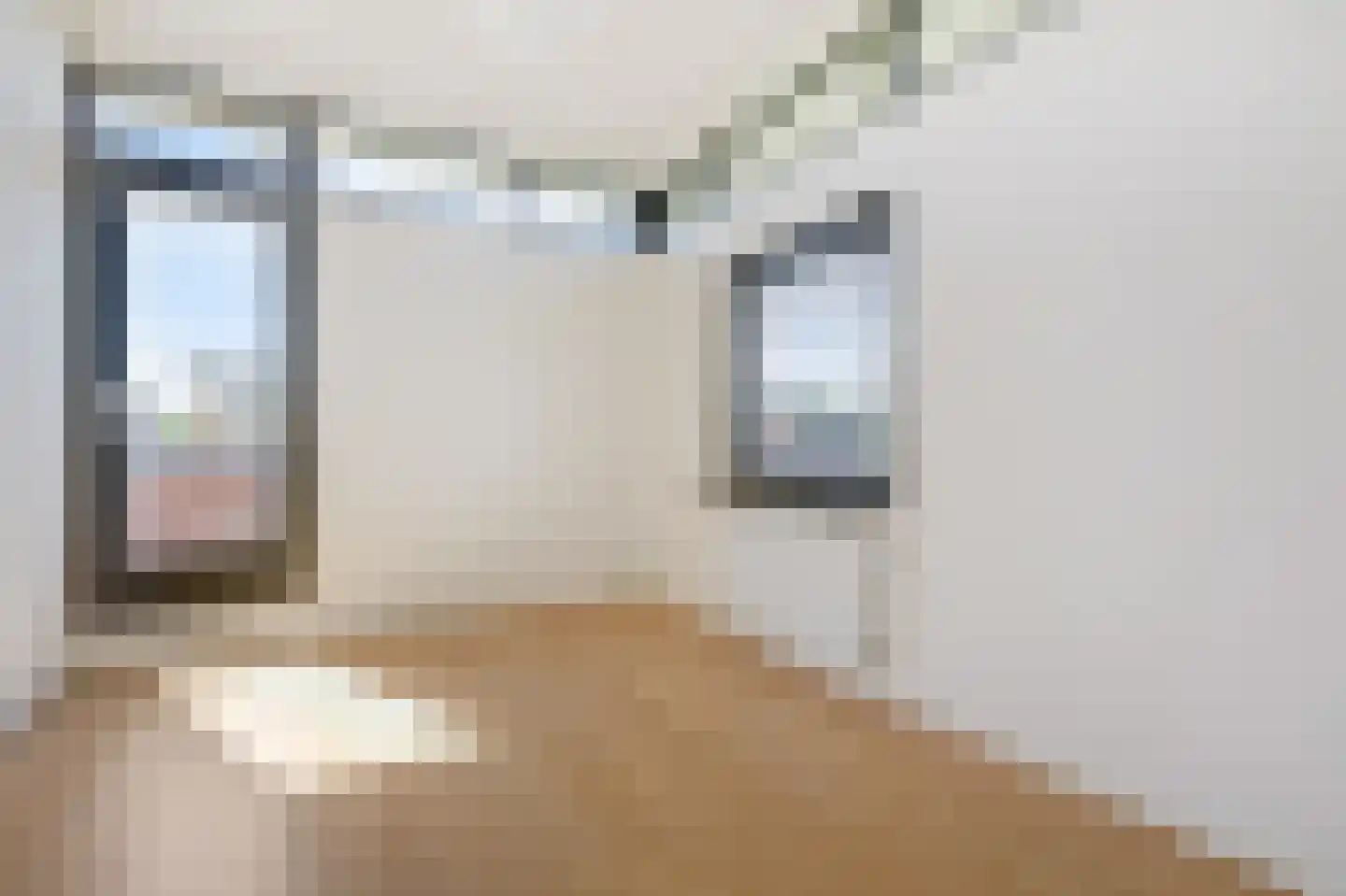 Kastanjehof 7 Velp thumbnail 33