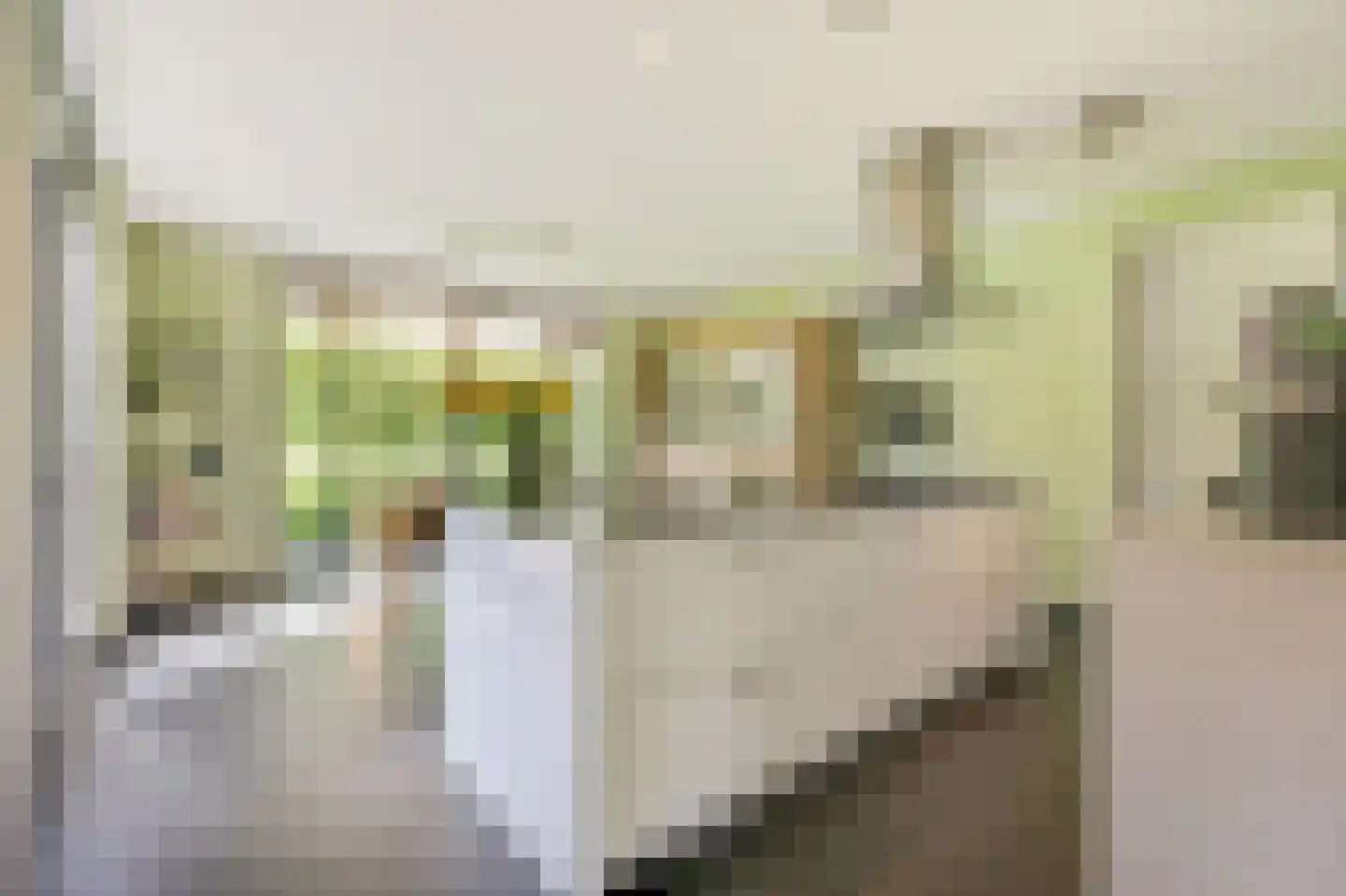 Kastanjehof 7 Velp thumbnail 4